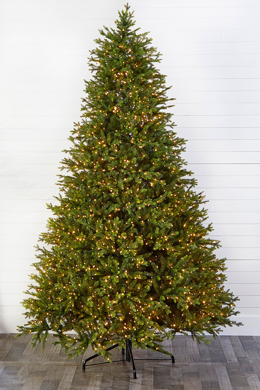 10 Foot Southern Fir LED Christmas Tree with 3000 3mm Lights