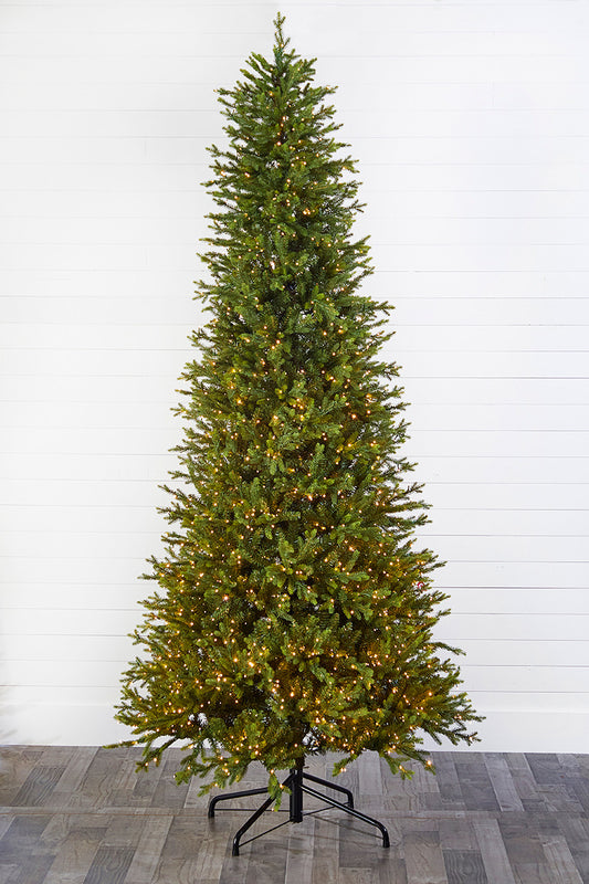 10 Foot Slim Southern Fir LED Christmas Tree with 2000 3mm Lights