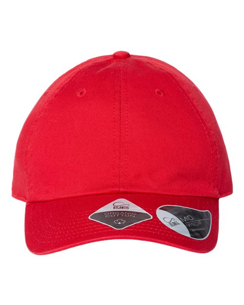 Sustainable Dad Hat | USA Decoration