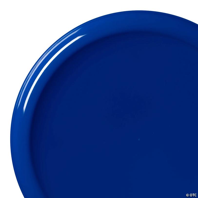 10" Light Blue Flat Round Disposable Plastic Dinner Plates (40 Plates) | USA Decoration®