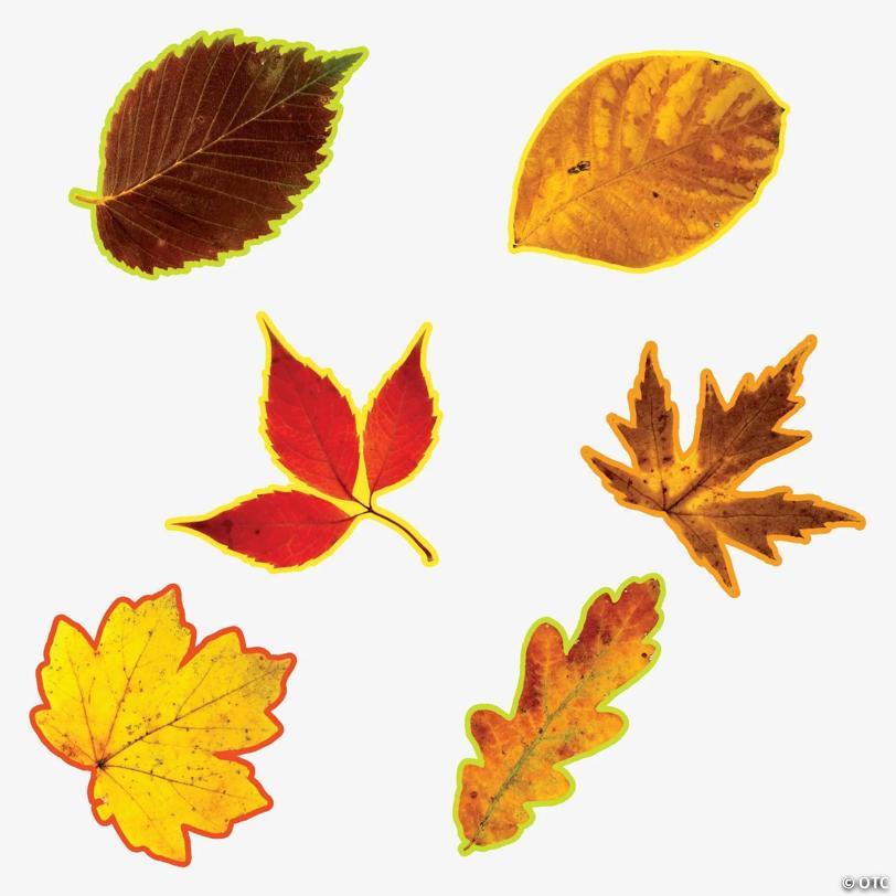 12" Bulk 48 Pc. Jumbo Warm Color Fall Leaves Classroom Wall Cutouts