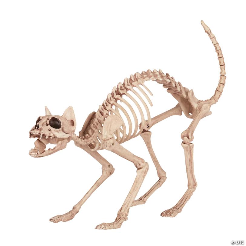 18" Skeleton Cat