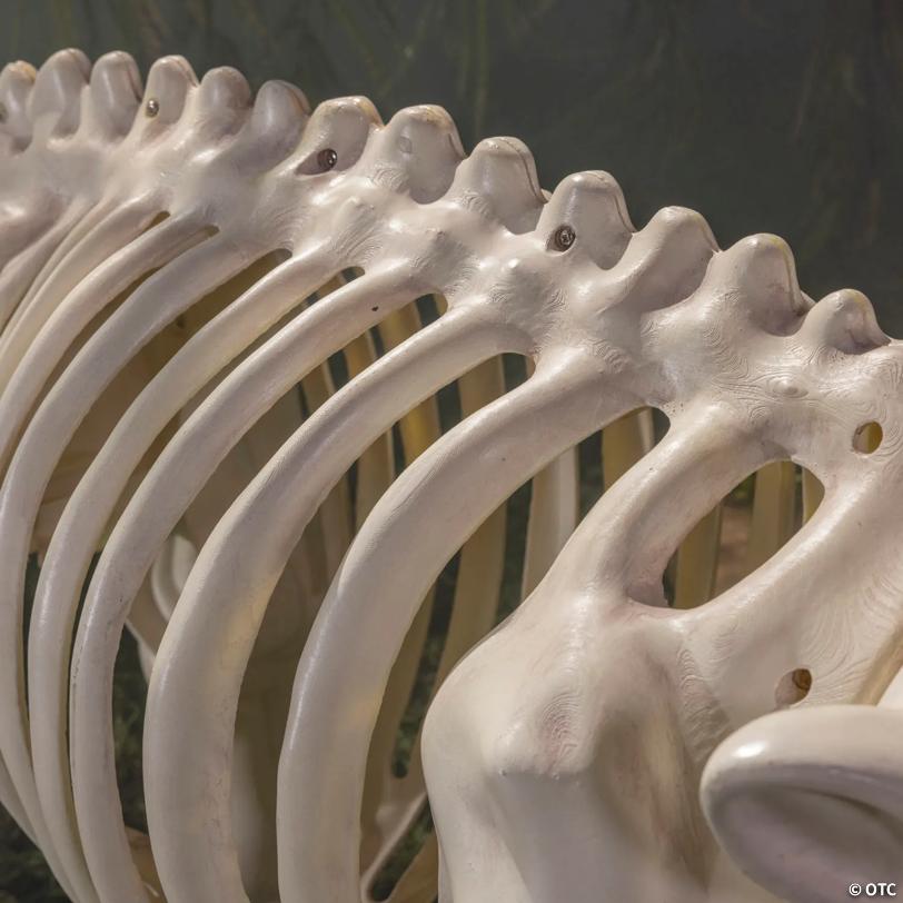 22" Standing Hippo Skeleton Halloween Decoration