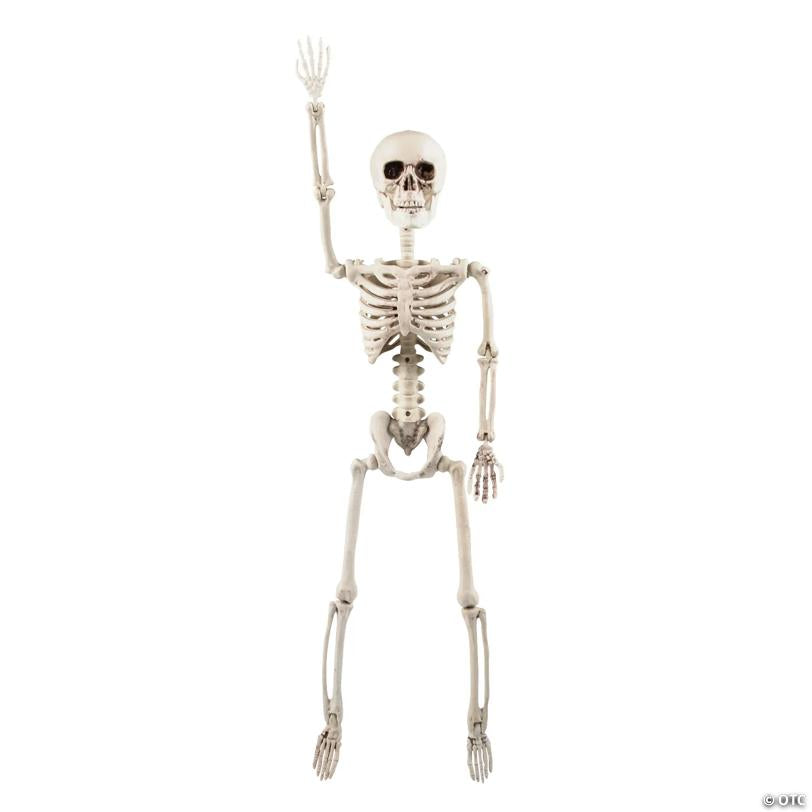 2 Ft. Posable Skeleton Halloween Decoration