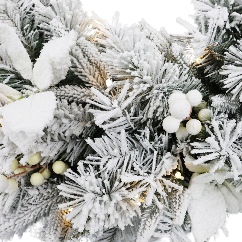 24" Pre-Lit Frosted Christmas Wreath displayed on a front door