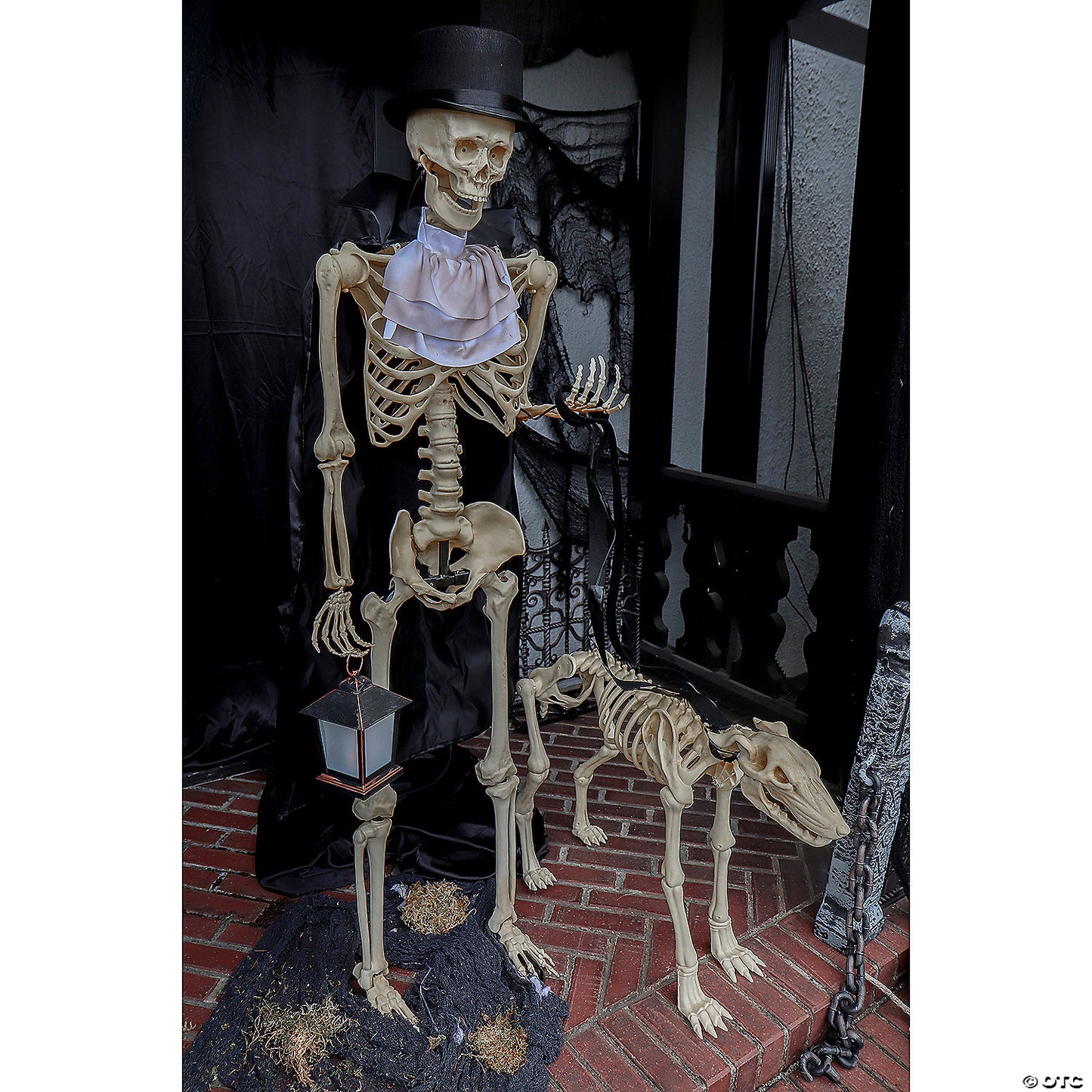 36 1/2" x 62 1/4" Animated Skeleton Dog Halloween Decorations | USA Decoration®