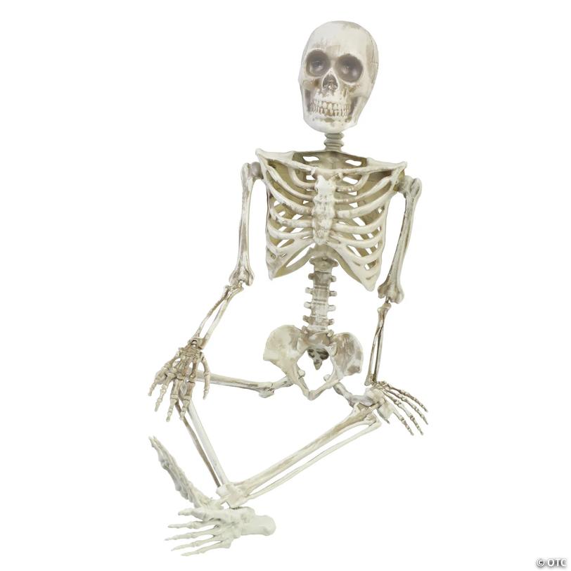 36" Posable Articulated Skeleton Halloween Decoration
