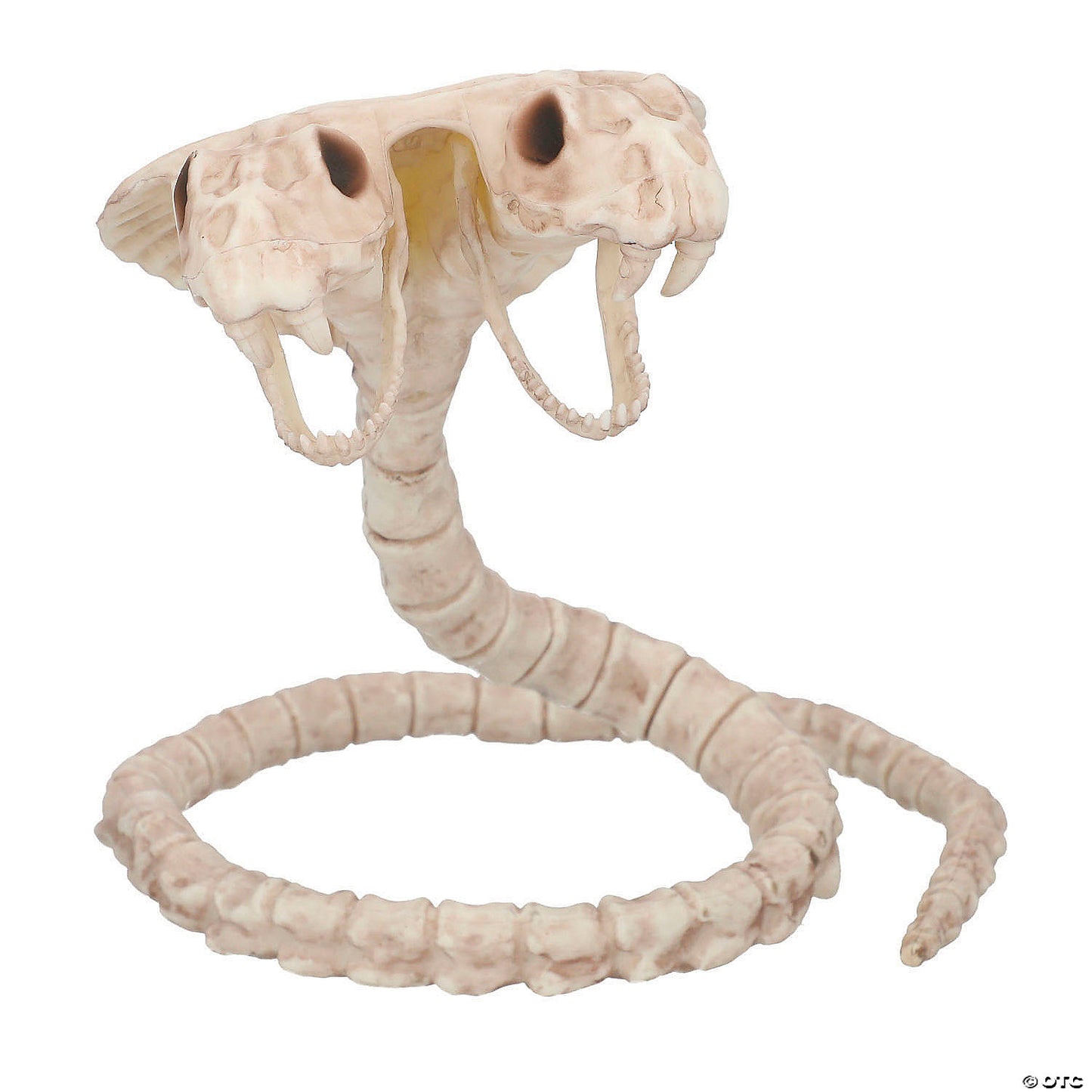 5 1/2" Two-Headed Cobra Snake Skeleton Halloween Decoration | USA Decoration®