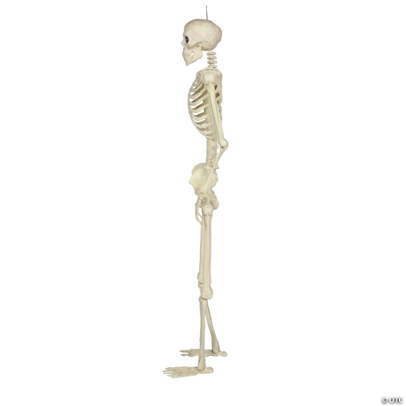 5 Ft. Hanging Multi Pose-N-Stay Life-Size Skeleton Halloween Decoration