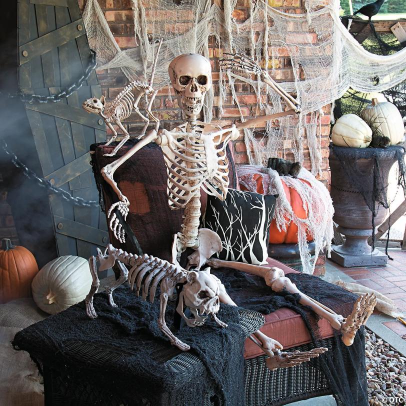 5 Ft. Life-Size Posable Plastic Skeleton Halloween Decoration