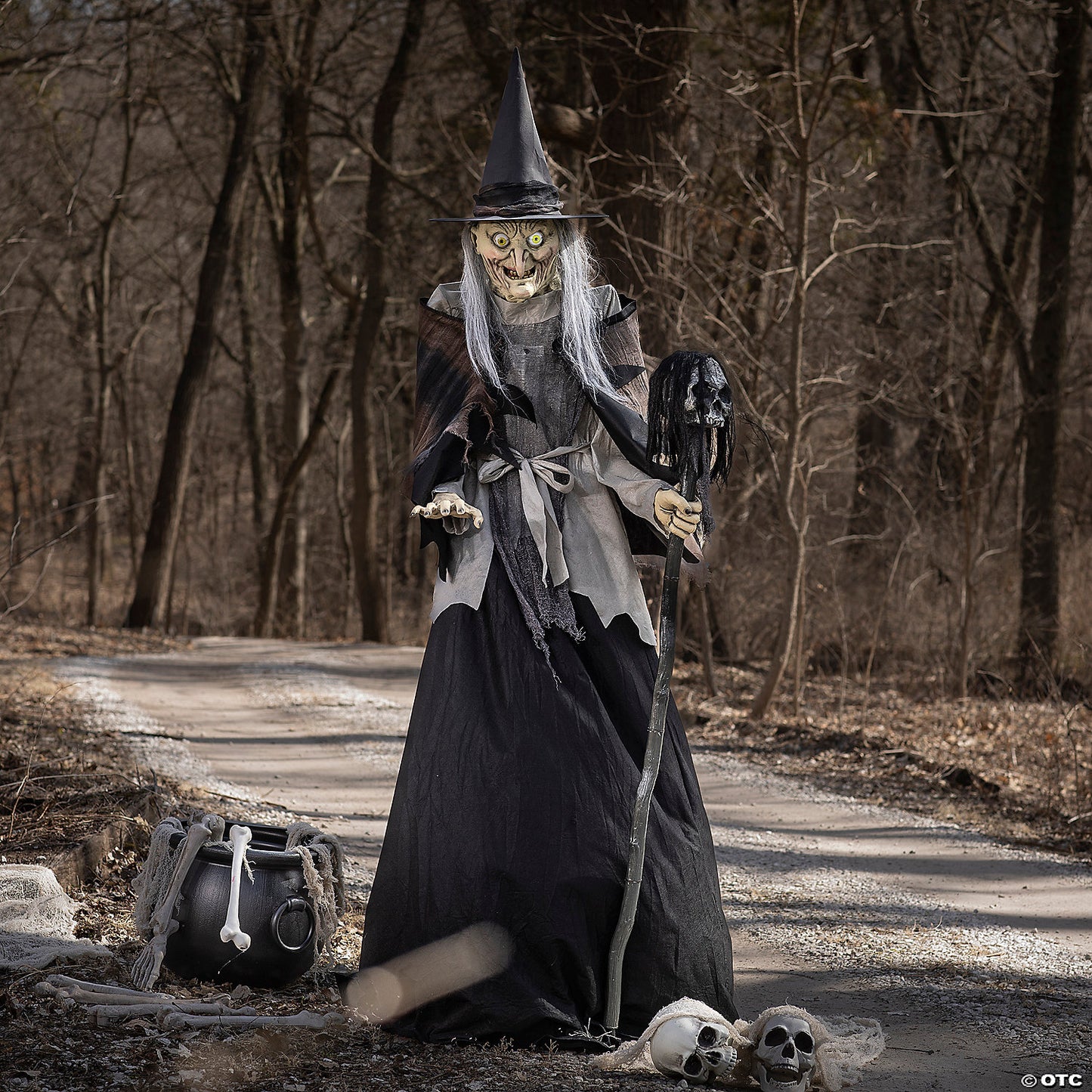 6 Ft. Animated Lunging Haggard Witch Standing Halloween Decoration | USA Decoration®