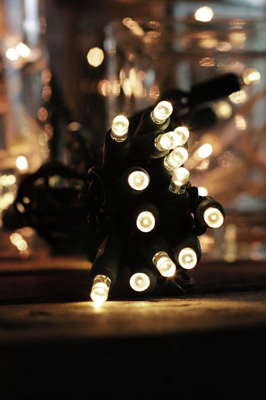 100 LED Waterproof Multifunction String Light with Green Wire Plug in | USA Decoration®