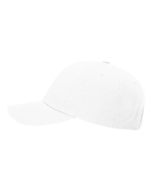 Sustainable Ashland Dad Hat | USA Decoration