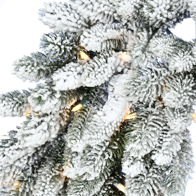 20" Pre-Lit Artificial Christmas Wreath displayed on a front door