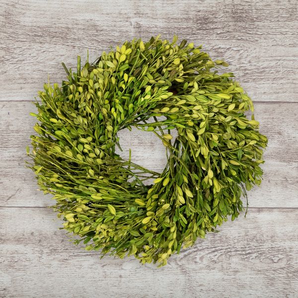 10" Artificial Green Foliage Spring Wreath Minimalist Seasonal Accent