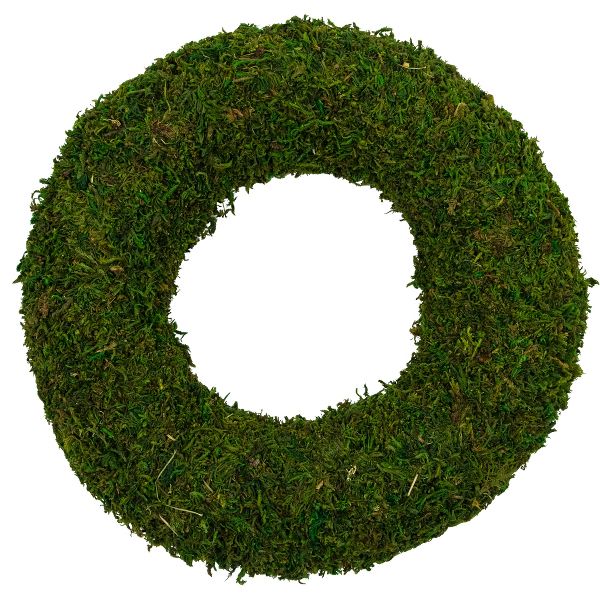 13.5-Inch Green Reindeer Moss Artificial Wreath Natural Look for Year-Round Décor