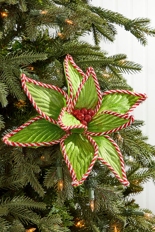 24 Inch x 12 Inch Green Peppermint Edge Poinsettia Stem