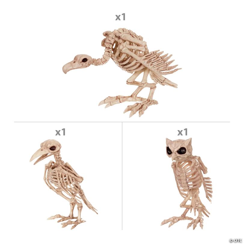 Halloween Bones & Beaks Skeleton Decorating Kit - 3 pc