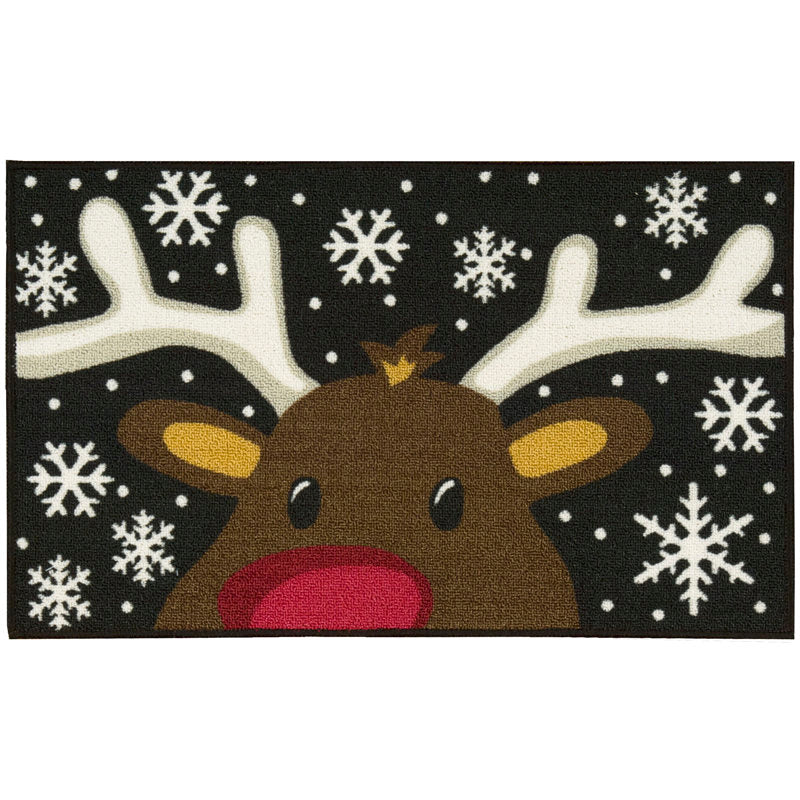 Indoor Rug