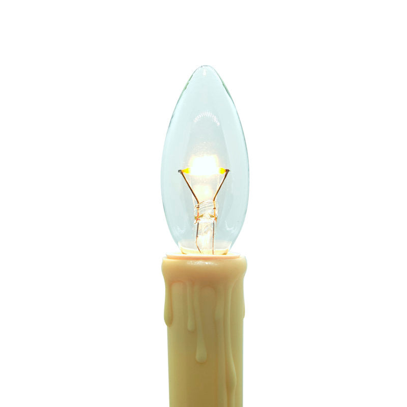 LED Holiday Lighting