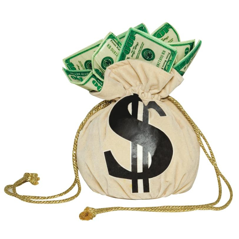 Money Bag Purse