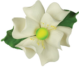 Magnolia Flower w/ leaves 9 ct