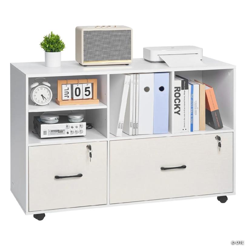 Mobile Wooden File Cabinet with 2 Drawers and Adjustable Shelves
