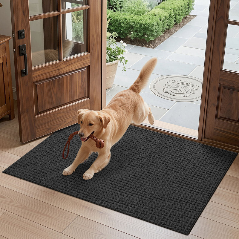 Non-Slip Washable Indoor Doormat