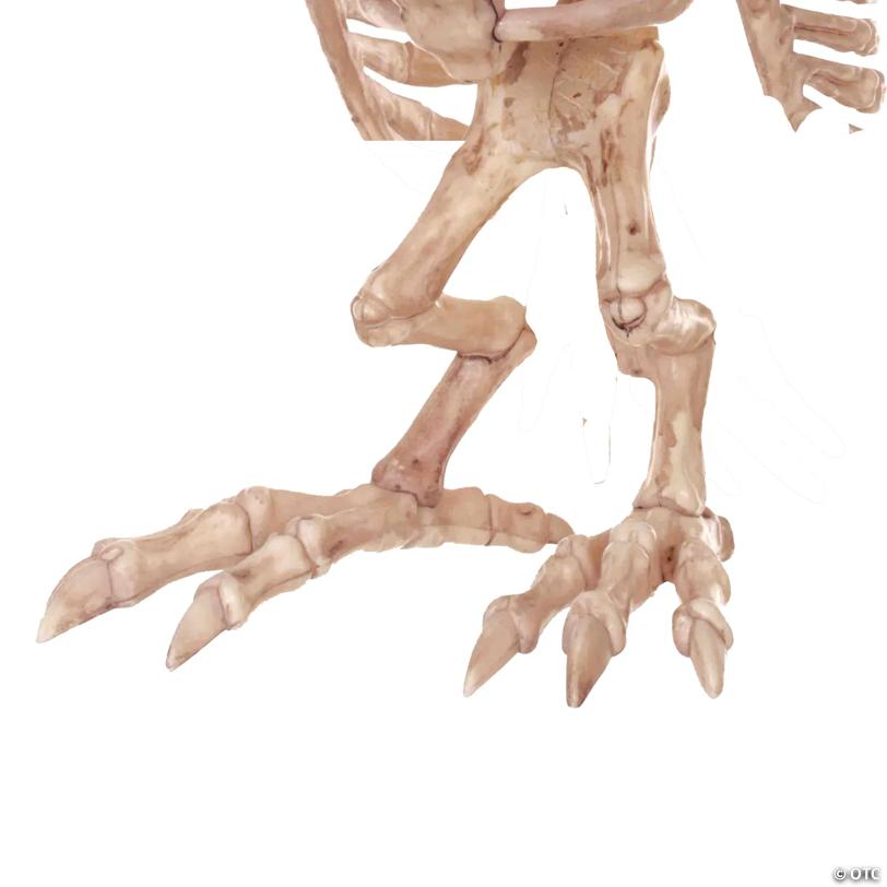 Owl Skeleton Halloween Decoration - 13