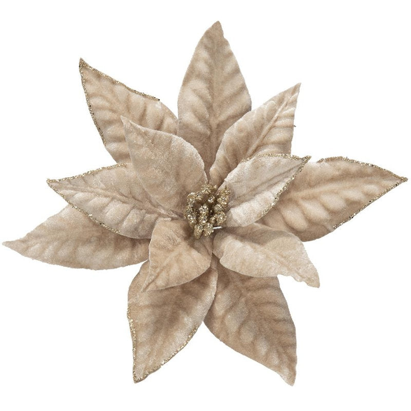 Set of twelve champagne artificial poinsettia stems