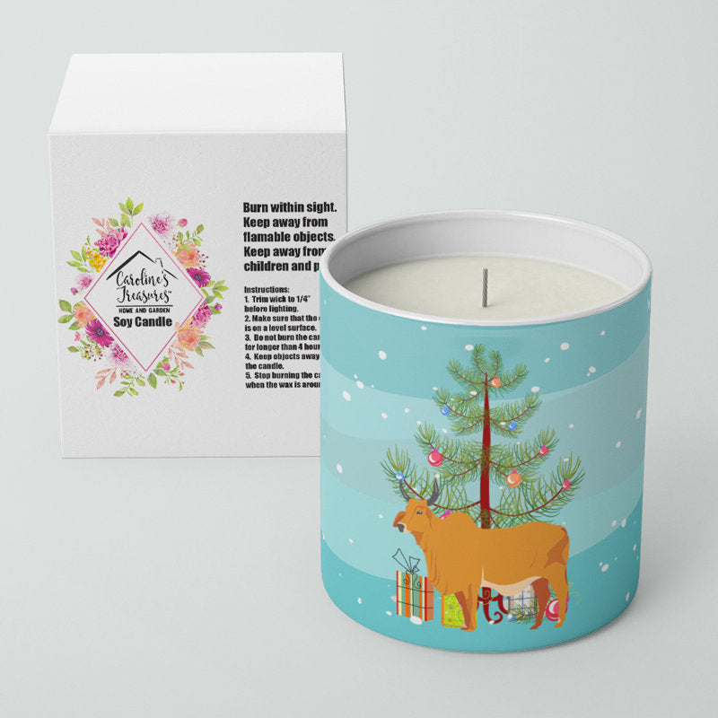 Pine / Christmas Tree Scented Jar Candle with Ceramic Holder