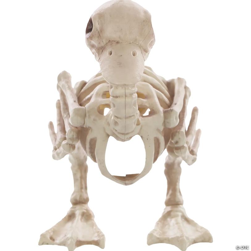 Skeleton Duck Decoration