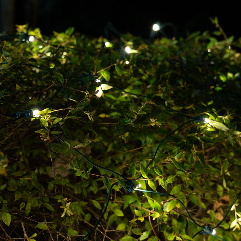 SoftTwinkle LED 70 Light Net Lights