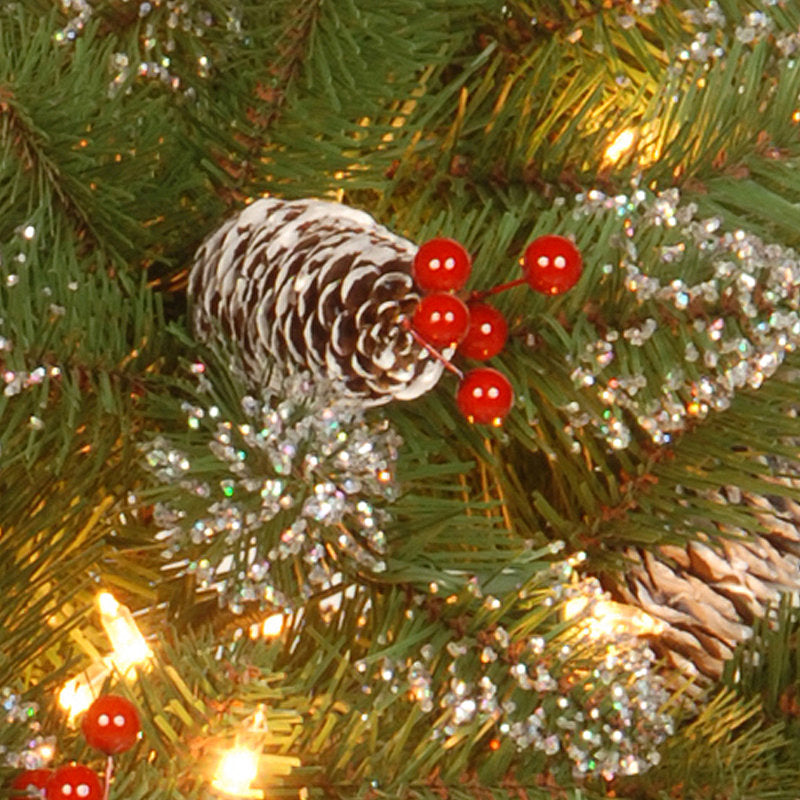Fir Christmas Wreath hanging on a front door