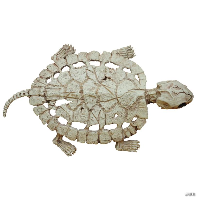 Turtle Skeleton Decoration