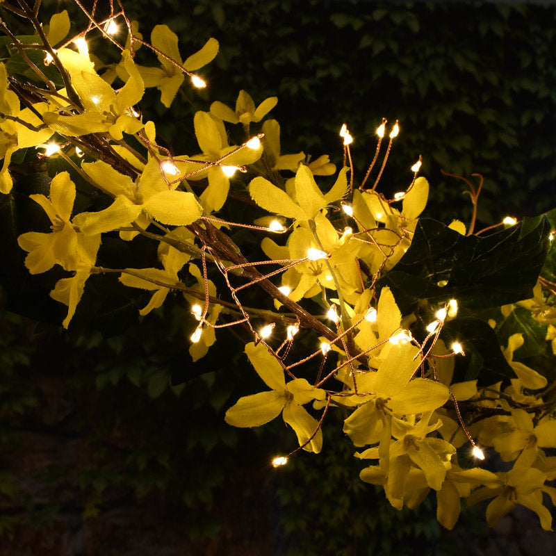 Widner 2'' String Lights