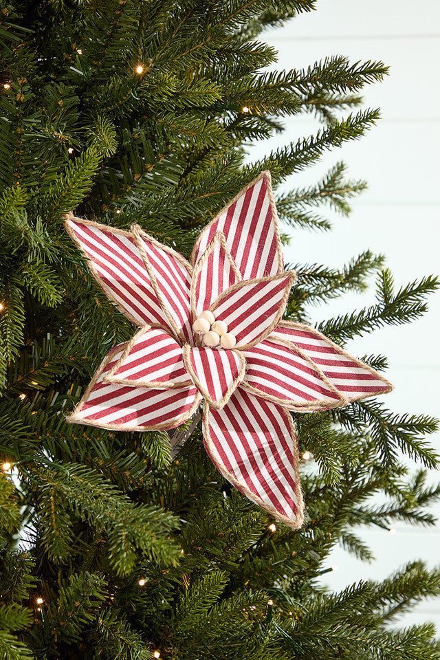 20 Inch x 12 Inch Striped Poinsettia Stem