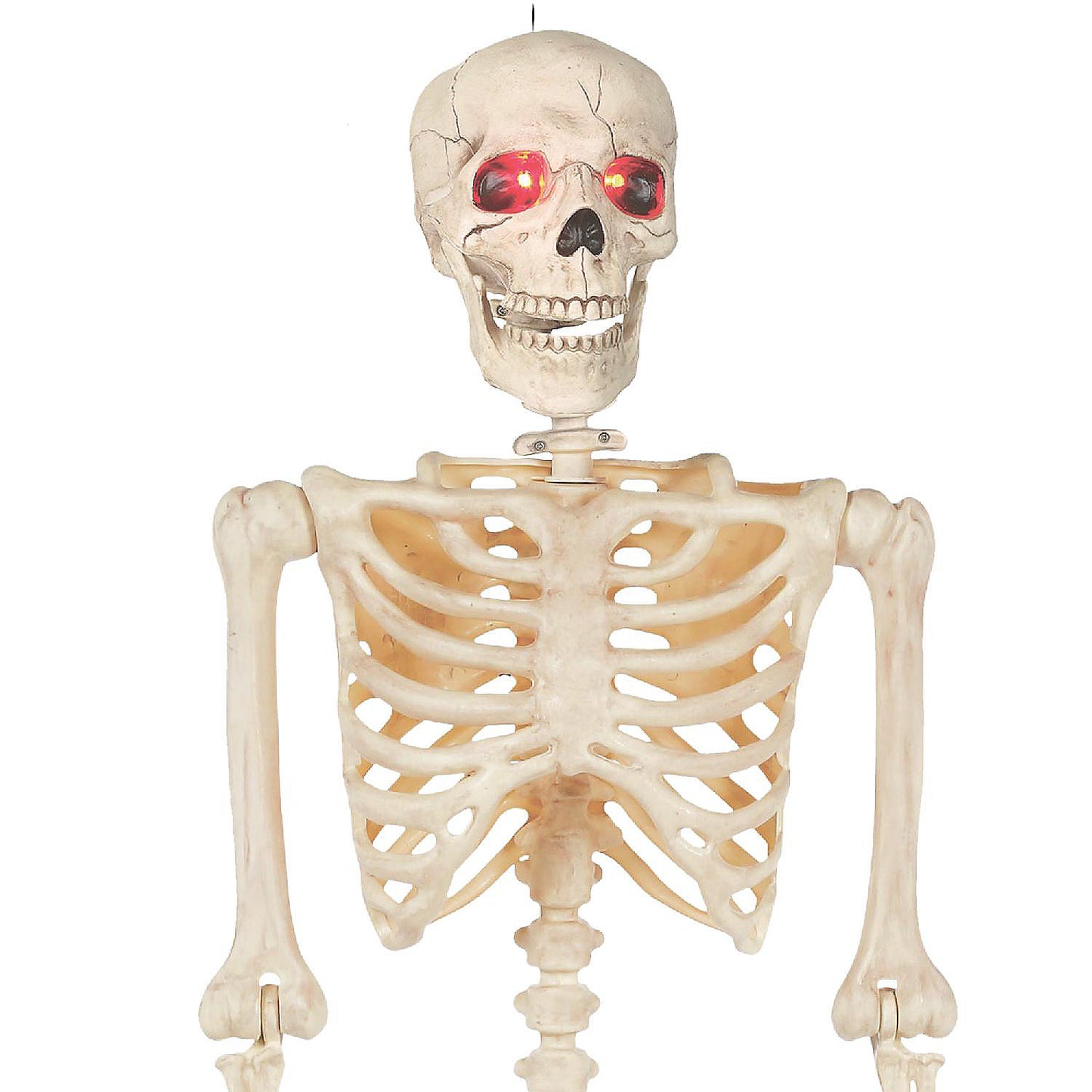 BOO BOX 5' Animated Full Size Halloween Skeleton Decoration, Lightup Eyes and Speaker | USA Decoration®