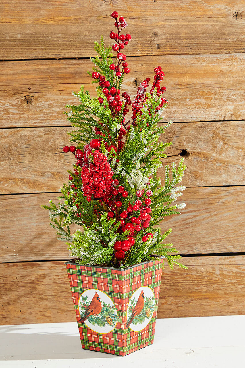 26" Frosted Weatherproof Berry Mini Spruce Tree in Pot Outdoor & Indoor Holiday Decor
