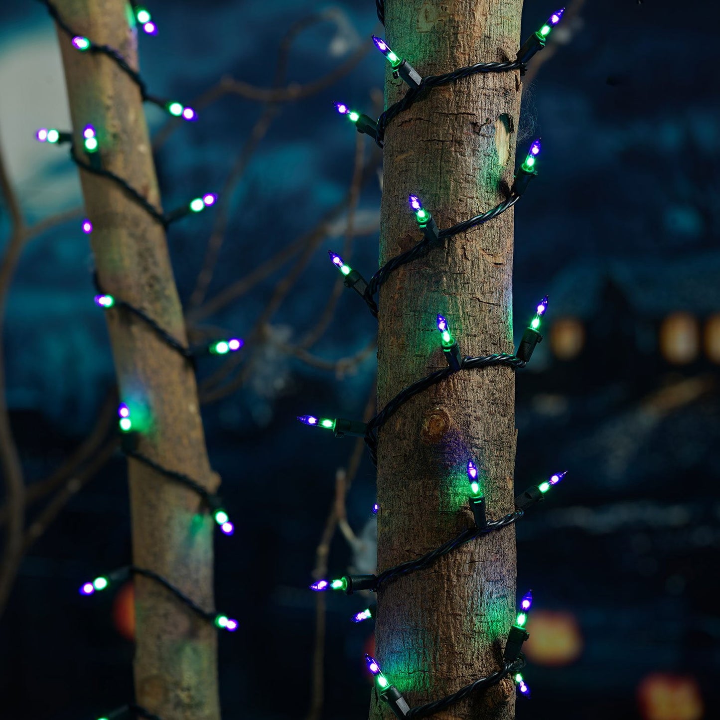 Member's Mark 100ct Dual Color Mini LED Lights, 22.3' Lighted Length | USA Decoration®