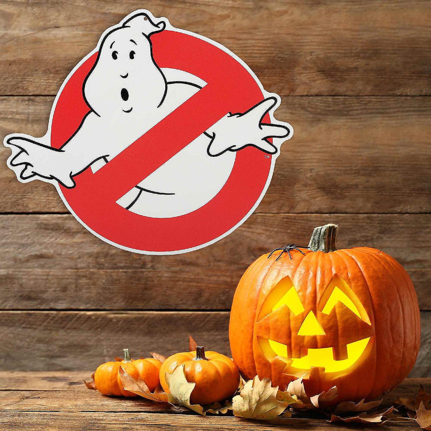Ghostbusters 9x10 Ghostbusters Classic Logo Metal Sign | USA Decoration®