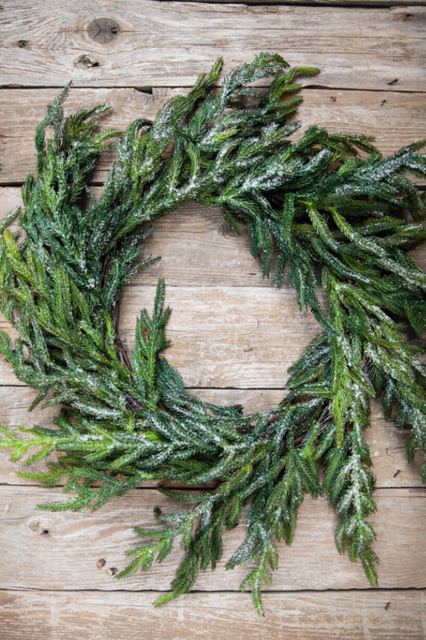 24” Iced Garden Norfolk Pine Wreath for Winter and Holiday Door Decor