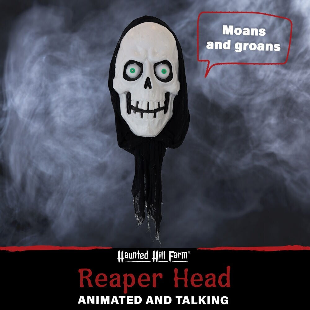 Haunted Hill Farm 2.5-ft Hanging Moaning Lighted Skull Animatronic