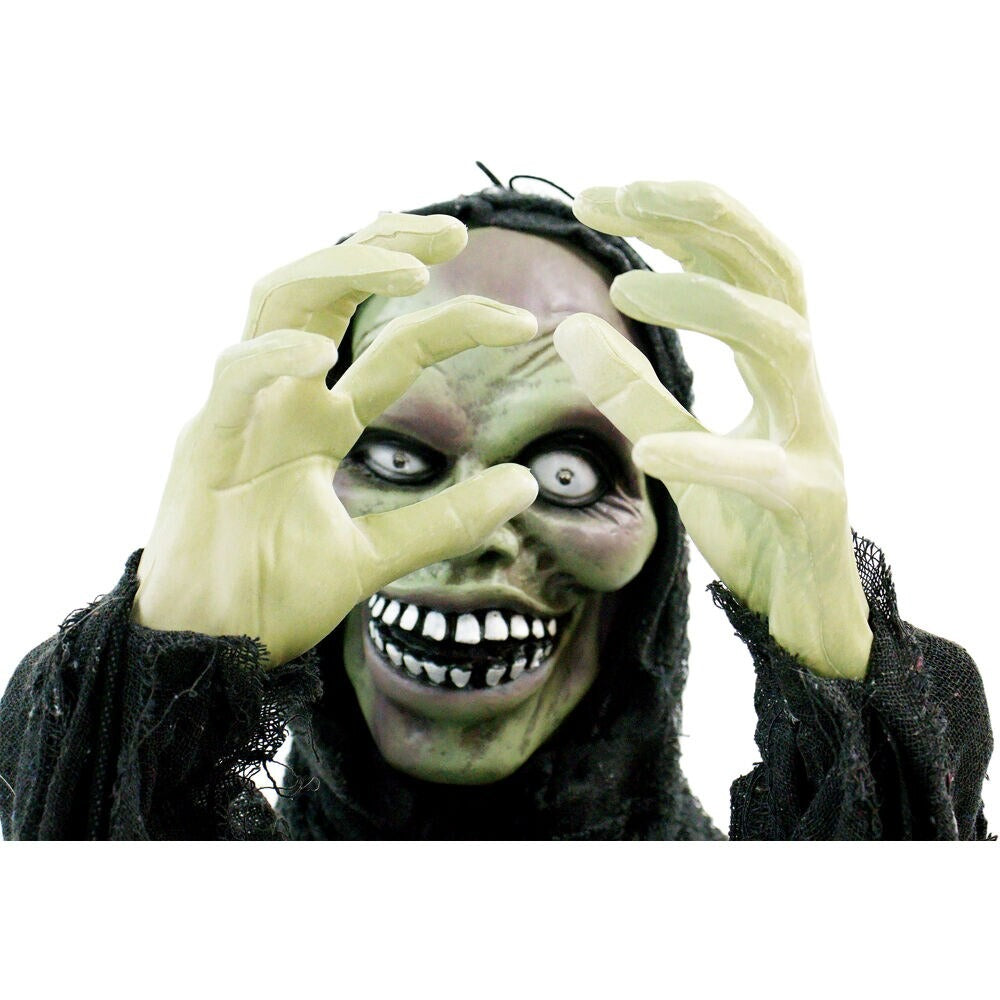 Haunted Hill Farm 2-ft Freestanding Musical Lighted Ghost Animatronic
