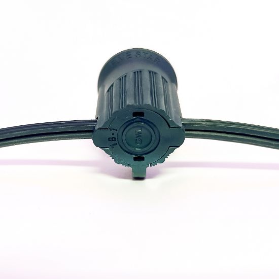 C9 Socket Cord - 25' 6" Spacing