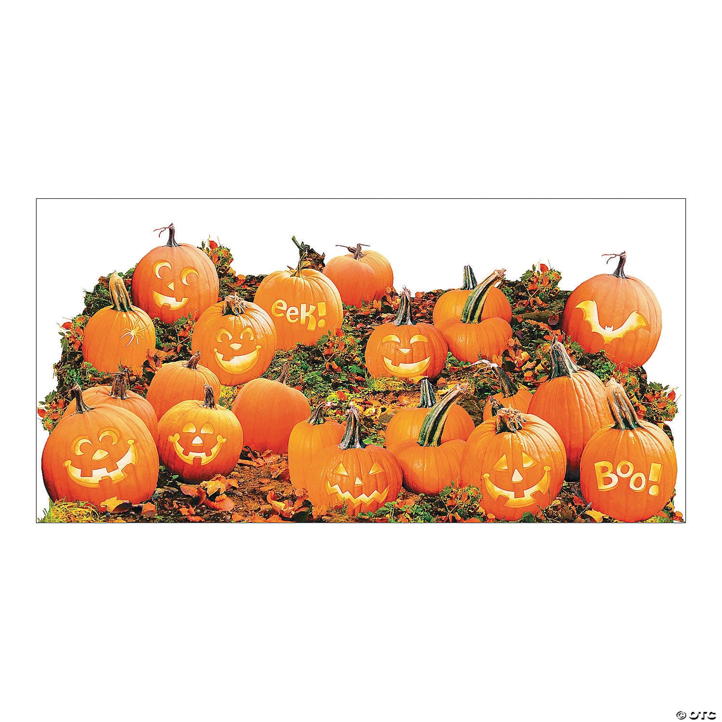 Pumpkin Patch Backdrop - 2 Pc. | USA Decoration®