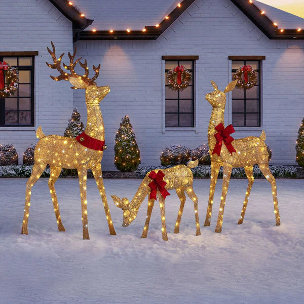 Outdoor Christmas Decoration