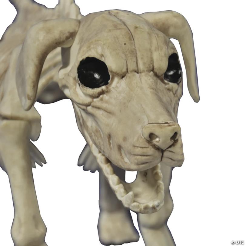 11" Beagle Bonez Dog Skeleton Halloween Decoration