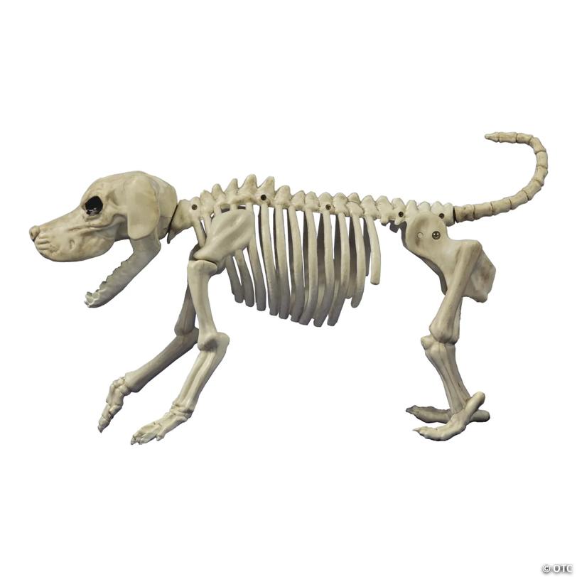11" Beagle Bonez Dog Skeleton Halloween Decoration