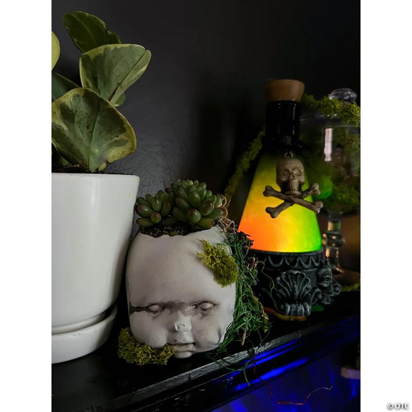 12" Light-Up Green Potion Bottle with Skull Halloween Decoration